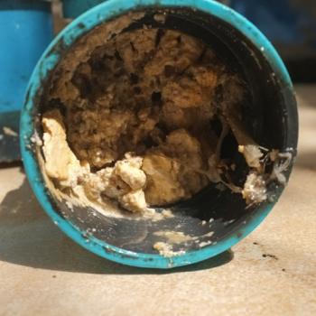 grease-removal-with-hydro-jetting-sewer-lines-and-drains-pretoria
